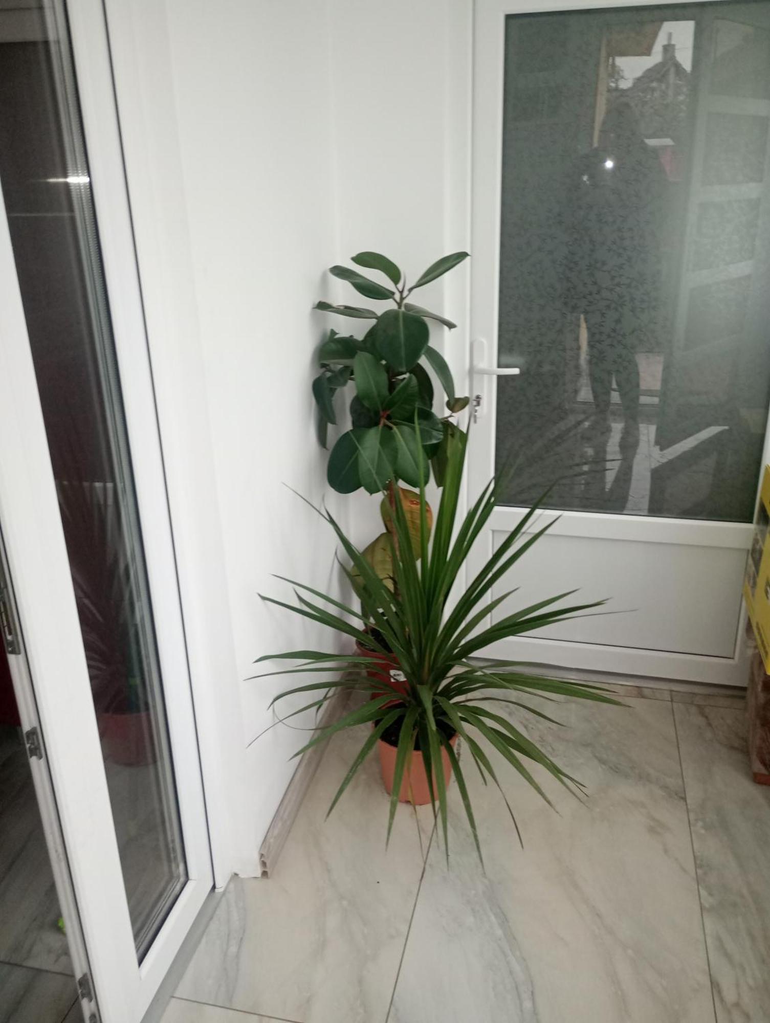 Izabella Guest House 사셀레 외부 사진